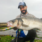MARIS Stream Series – Sinking Minnow 140mm 26g Ultra Long Casting Jerkbait