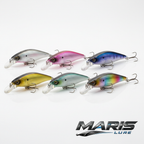 Minnow Series